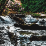 Screenshot 2024-08-26 at 7.34.32 PM